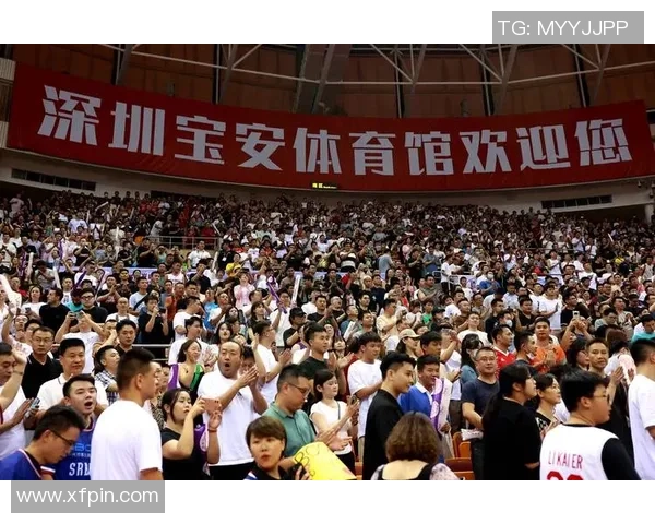 深圳排球队团队协作新模式引发热议助力竞技水平提升 深圳排球队团队协作新模式引发热议助力竞技水平提升